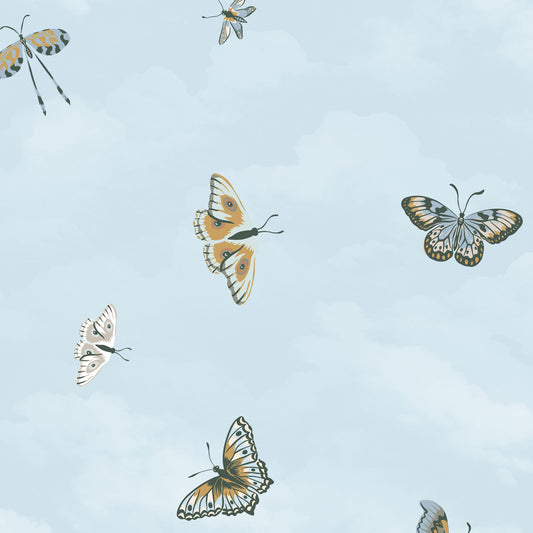 Butterfly Sky
