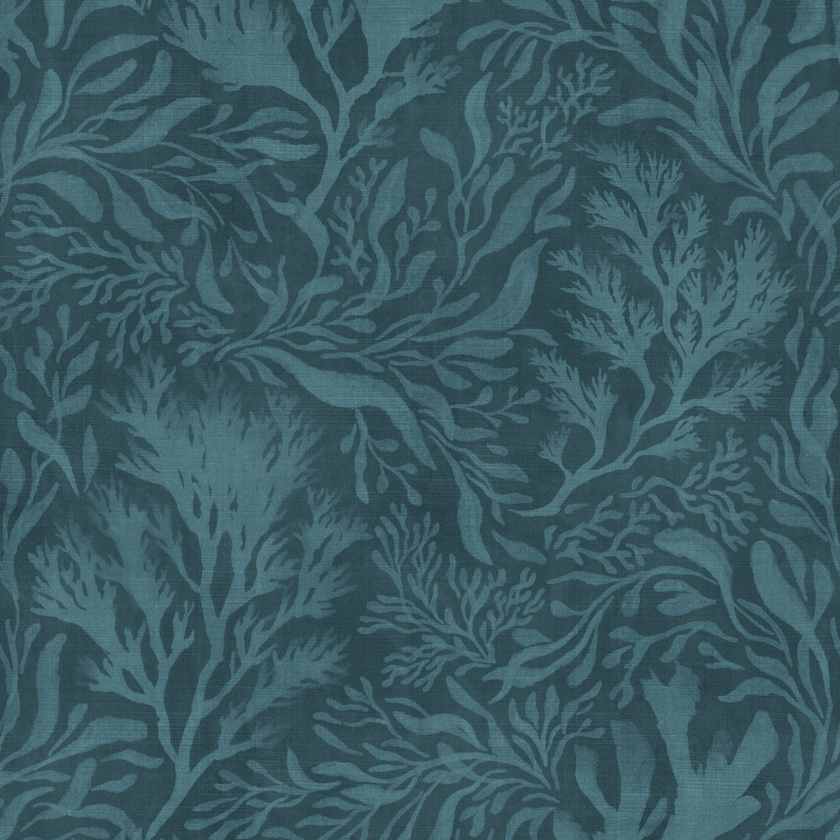 Coastal Coral
