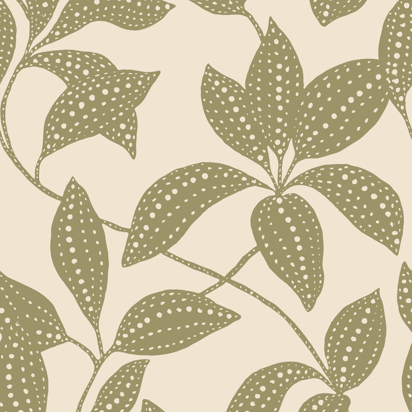 Spotted Canopy