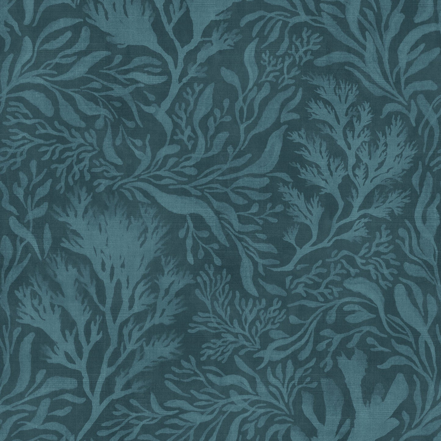 Coastal Coral