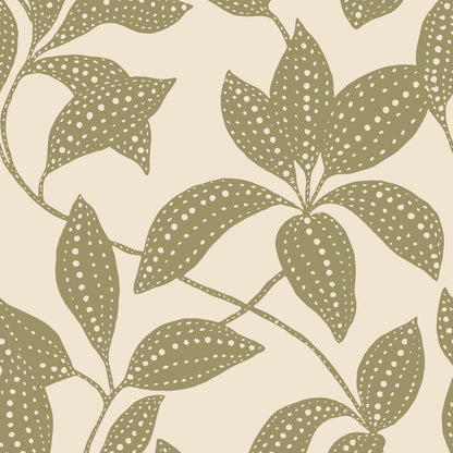 Spotted Canopy