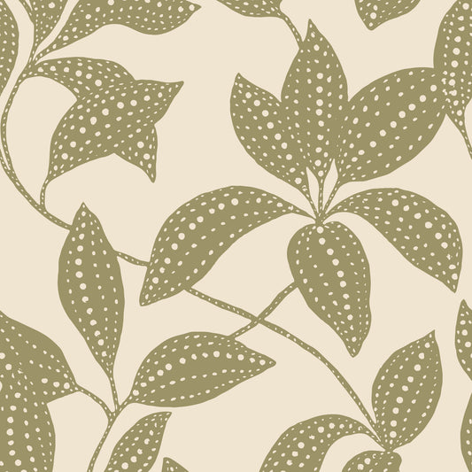 Spotted Canopy