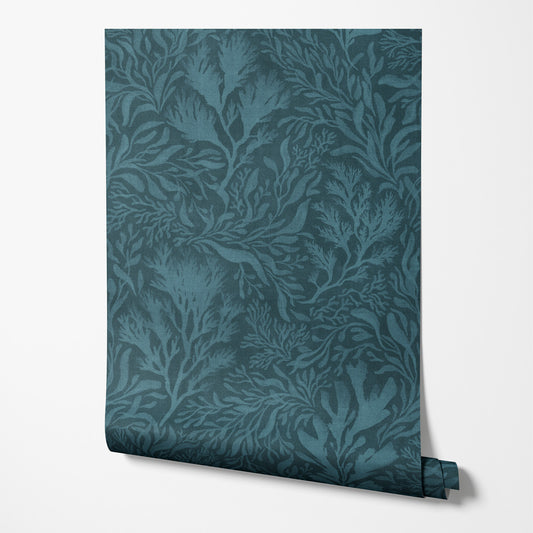 Coastal Coral